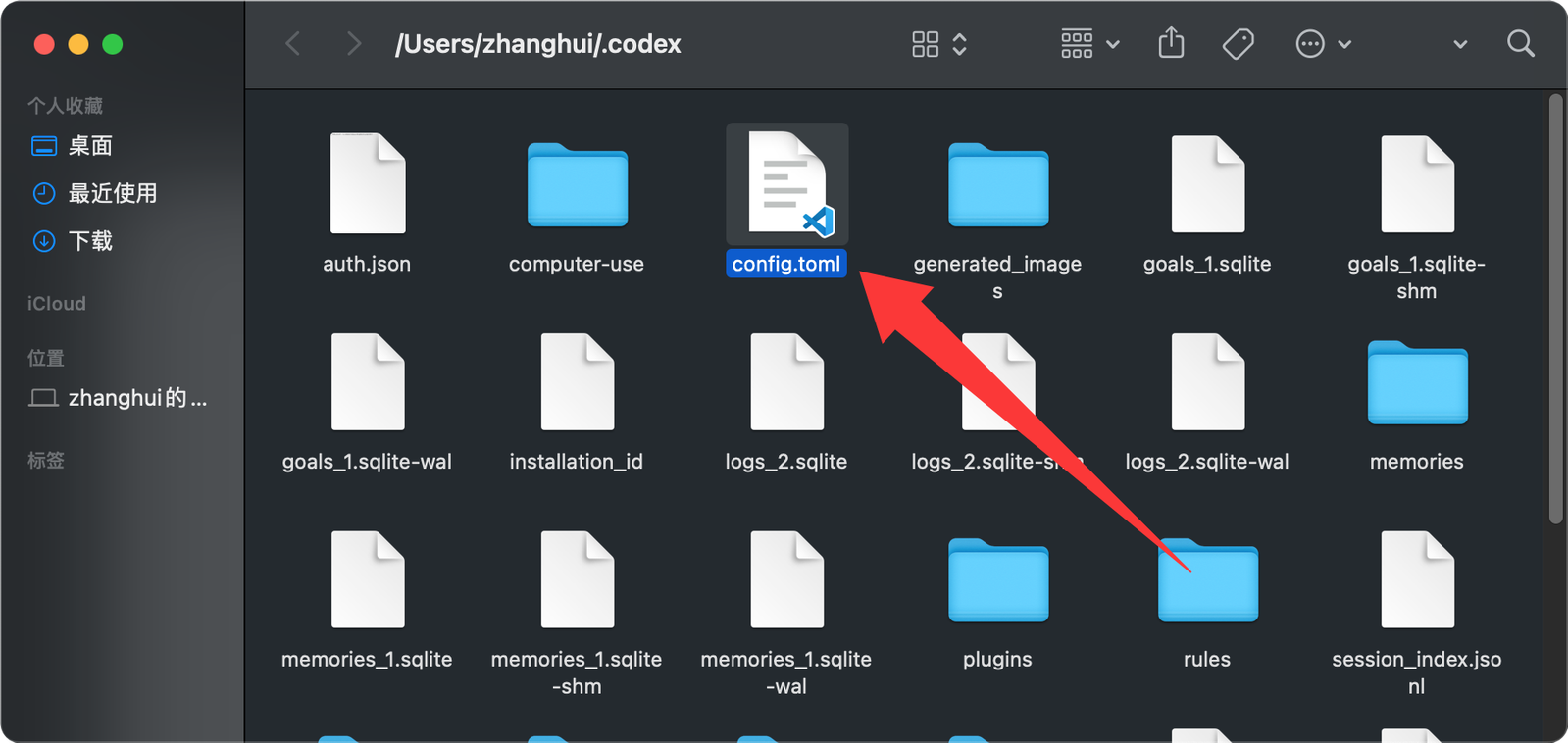 macOS Codex 配置目录中的 config.toml