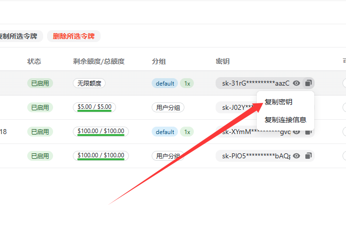 Mac 版复制令牌密钥